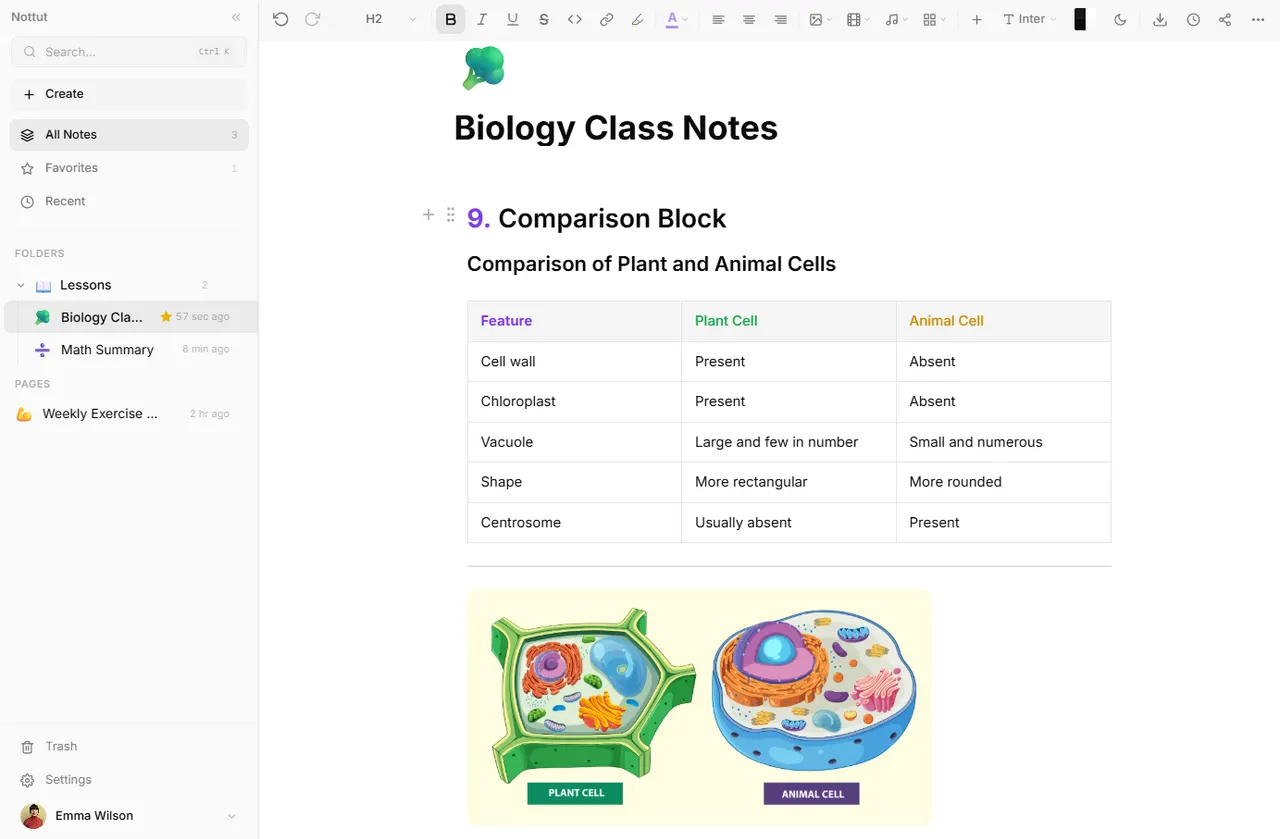 Nottut editor screen showing a task card and code block
