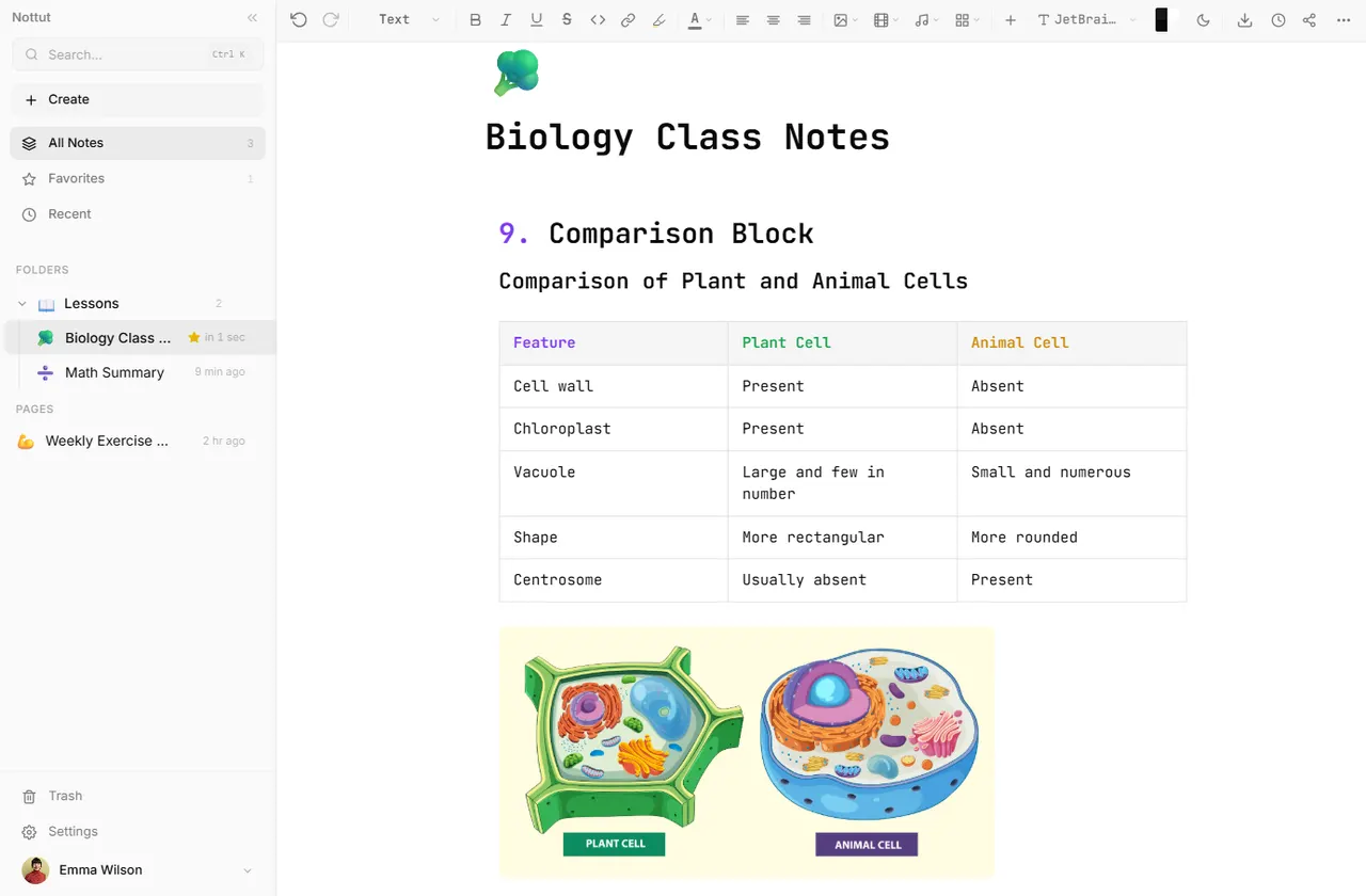 Nottut free note taking app — block editor, folder organization and theme system interface